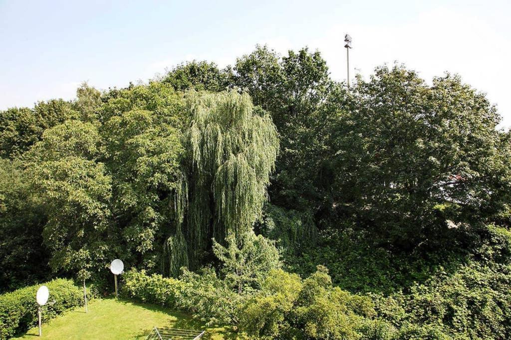 City Apartments Cologne - Apartment 2 المظهر الخارجي الصورة